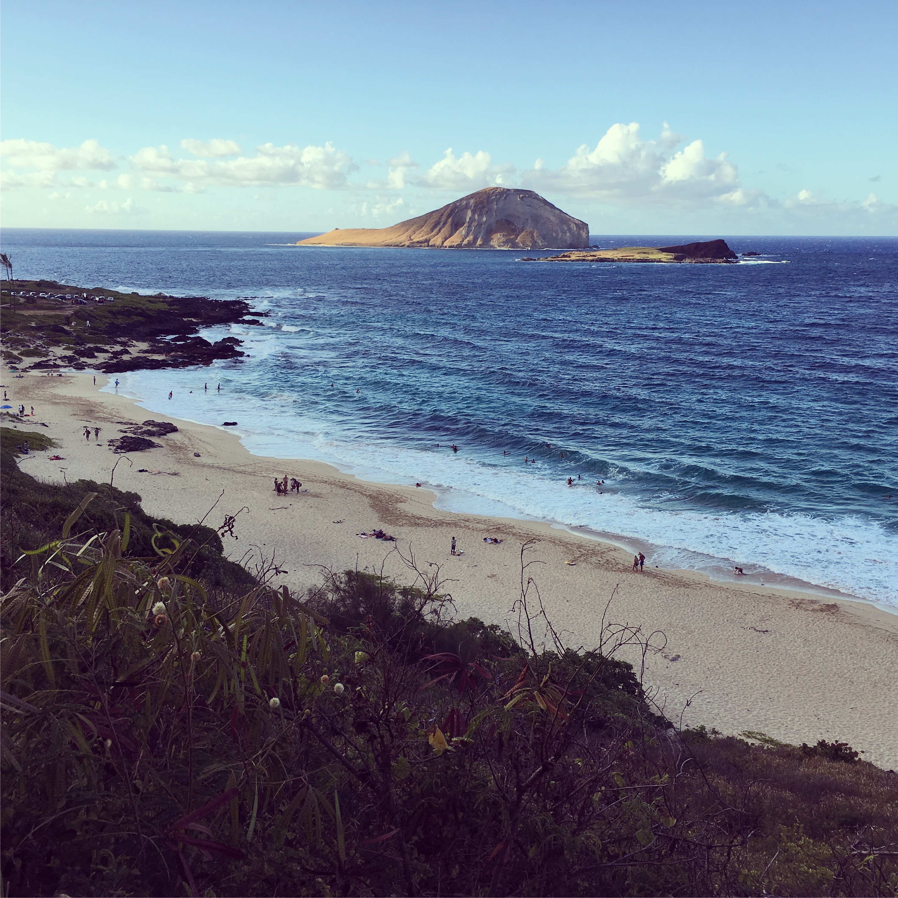 Makapuu ocean