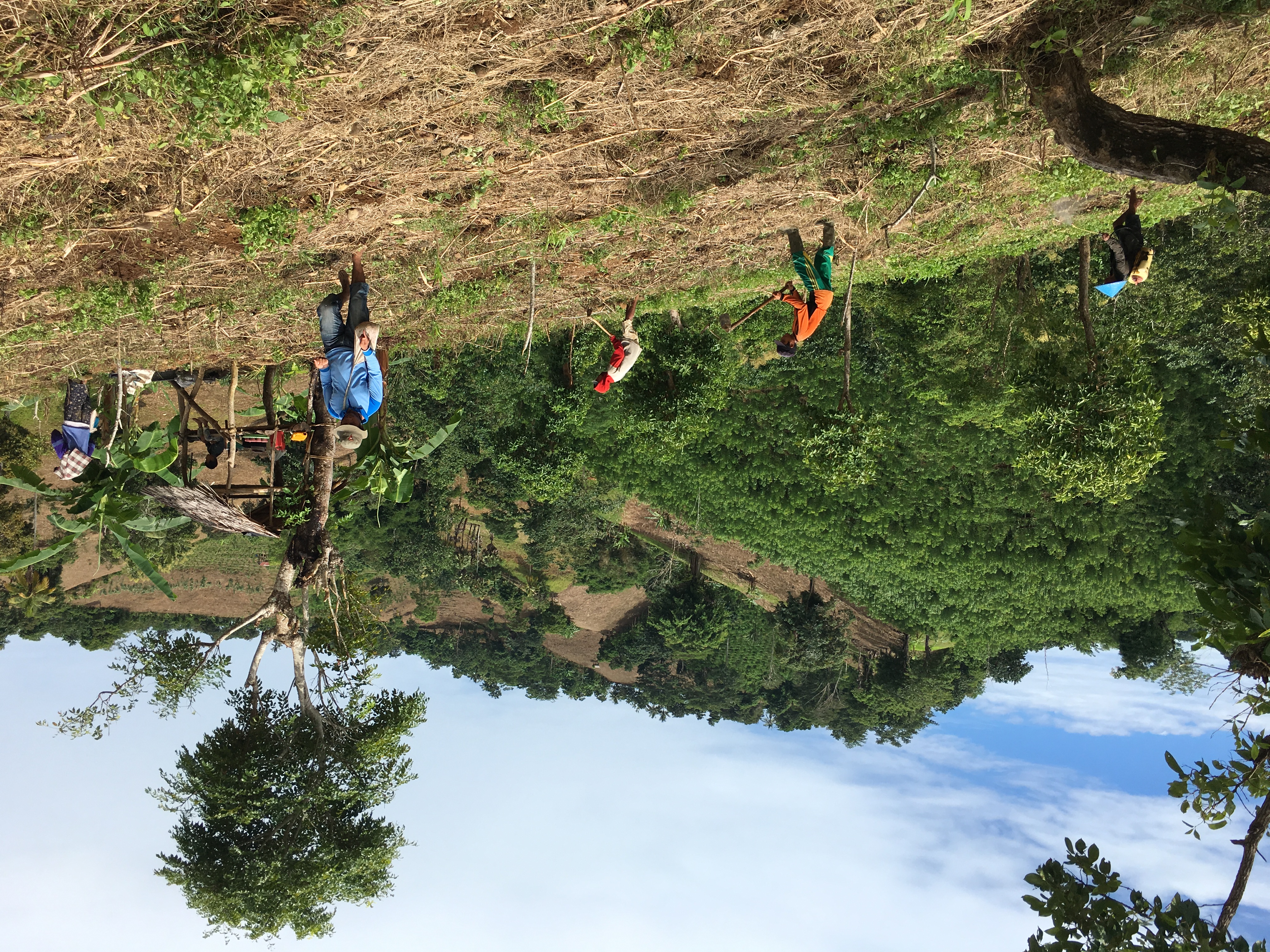 Fieldwork landscape — South Sulawesi, Indonesia